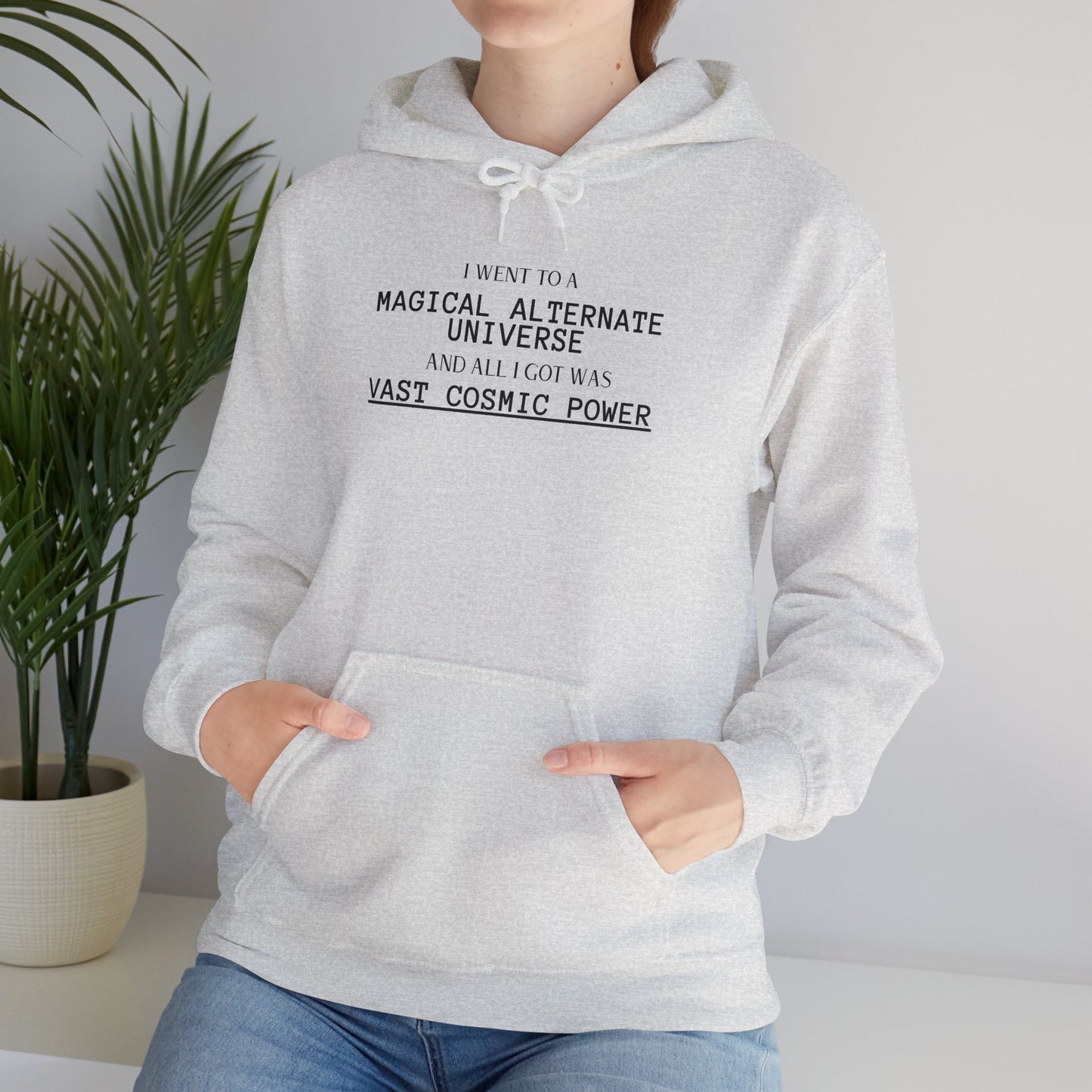 Iron Rank He Who Fights With Monsters Fan Fiction Hoodie I went to a MAGICAL ALTERNATE UNIVERSE and all I got was Vast Cosmic Power
