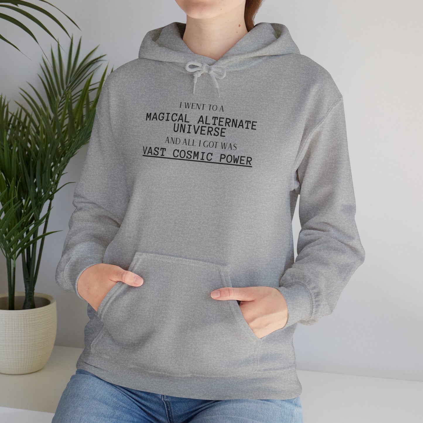 Silver Rank He Who Fights With Monsters Fan Fiction Hoodie I went to a MAGICAL ALTERNATE UNIVERSE and all I got was Vast Cosmic Power