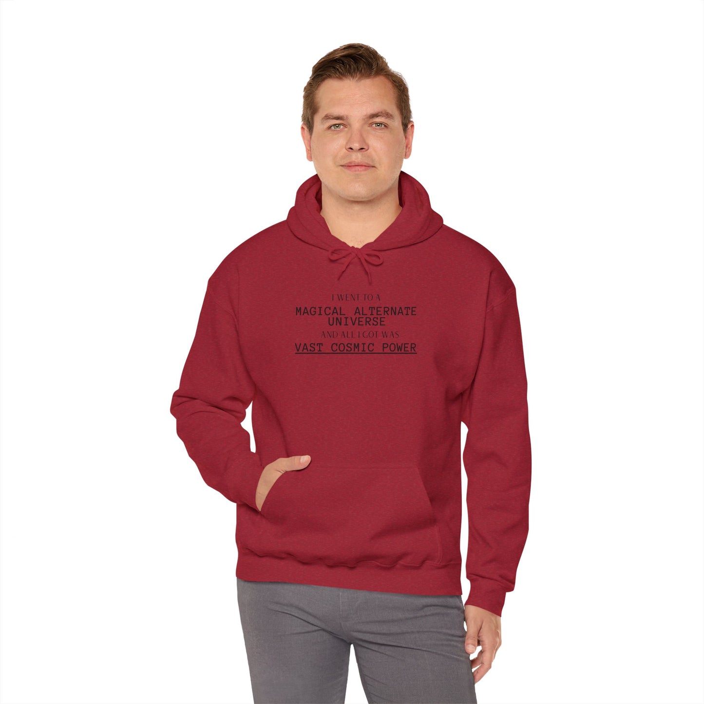 Iron Rank He Who Fights With Monsters Fan Fiction Hoodie I went to a MAGICAL ALTERNATE UNIVERSE and all I got was Vast Cosmic Power