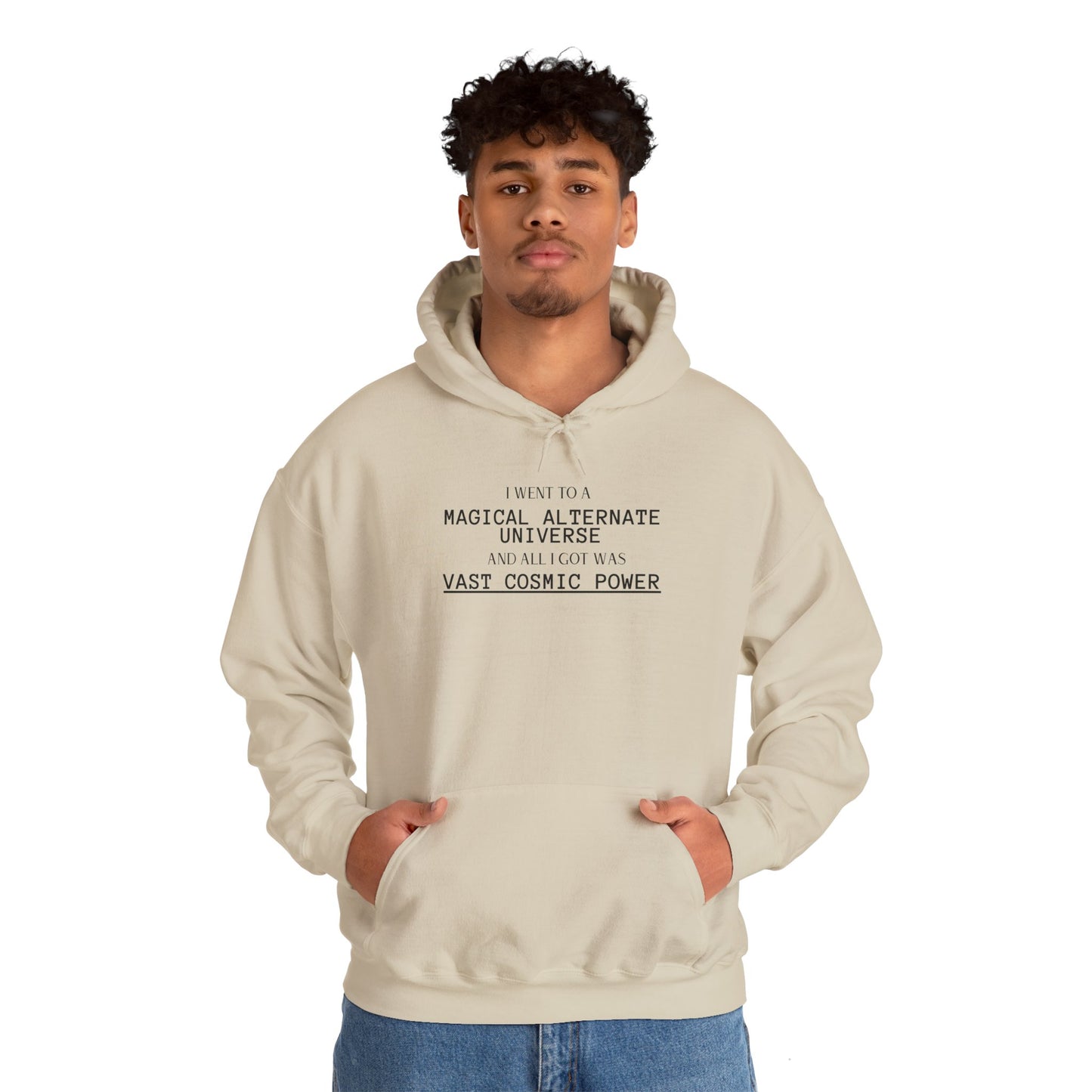 Iron Rank He Who Fights With Monsters Fan Fiction Hoodie I went to a MAGICAL ALTERNATE UNIVERSE and all I got was Vast Cosmic Power