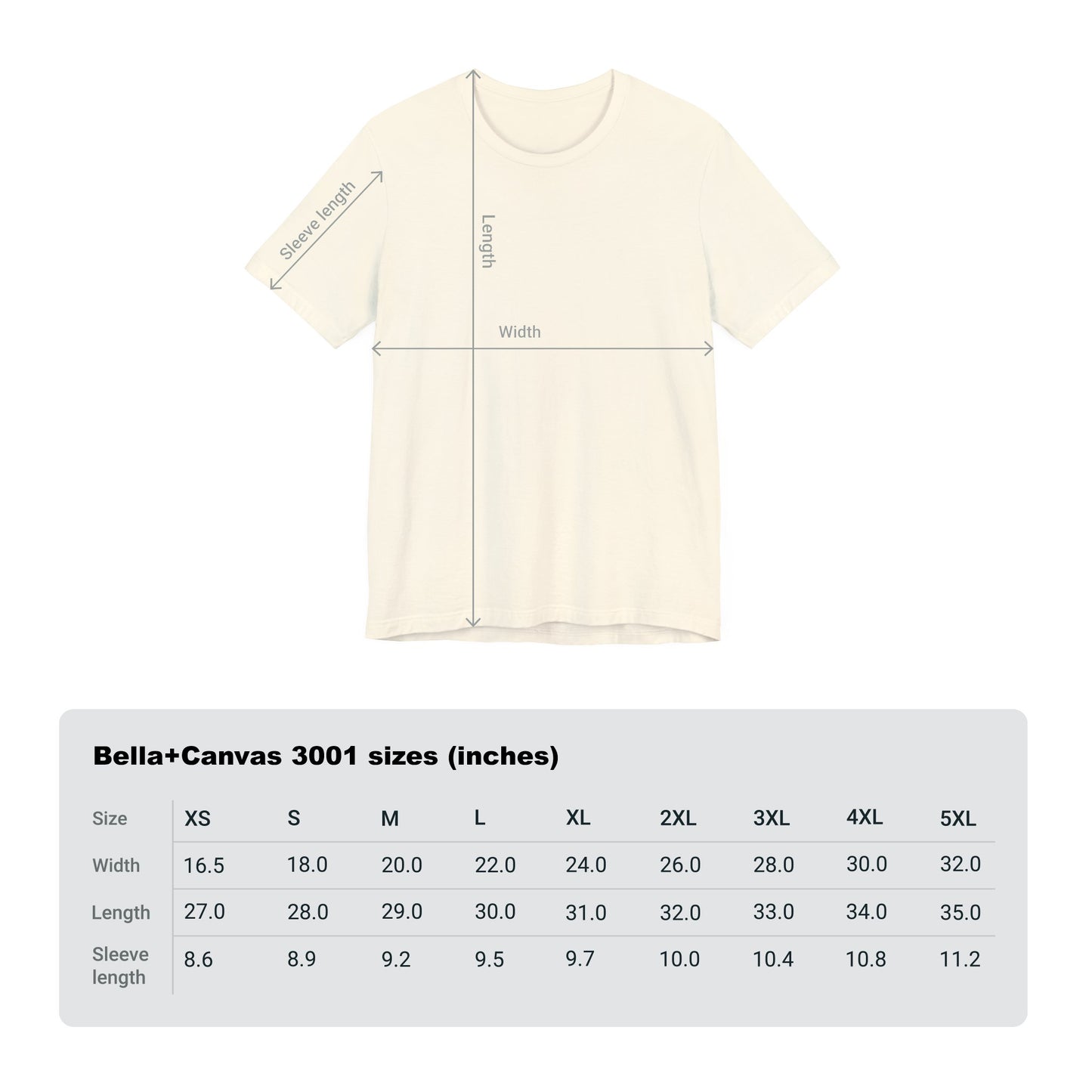 Silver Spirit Coin I Went to a Magical Alternate Universe and All I Got was Vast Cosmic Power T-Shirt He Who Fights With Monsters Asano